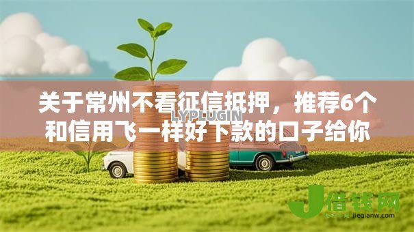关于常州不看征信抵押，推荐6个和信用飞一样好下款的口子给你
