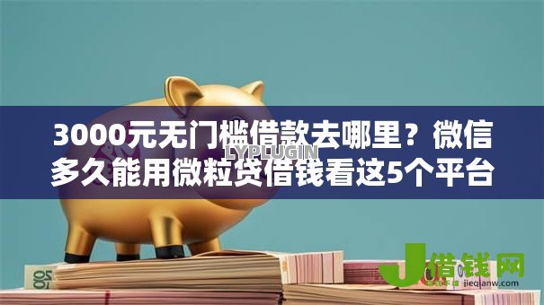 3000元无门槛借款去哪里？微信多久能用微粒贷借钱看这5个平台