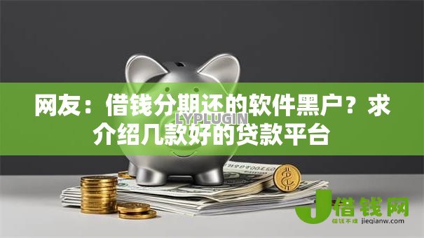 网友：借钱分期还的软件黑户？求介绍几款好的贷款平台
