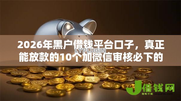 2026年黑户借钱平台口子，真正能放款的10个加微信审核必下的网贷平台推荐