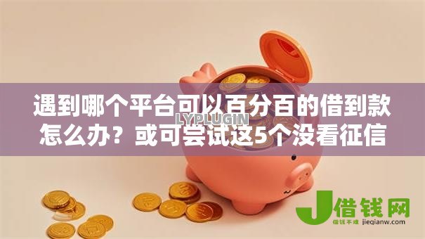 遇到哪个平台可以百分百的借到款怎么办？或可尝试这5个没看征信的平台