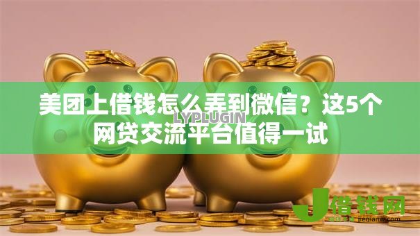 美团上借钱怎么弄到微信?这5个网贷交流平台值得一试 美团上借钱怎么弄到微信?这5个网贷交流平台值得一试