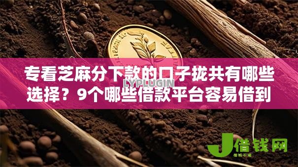 专看芝麻分下款的口子拢共有哪些选择？9个哪些借款平台容易借到钱详解