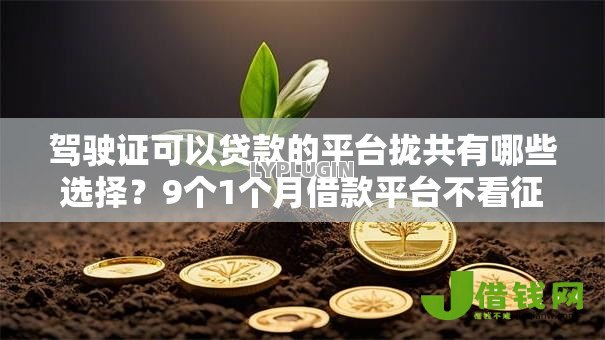 驾驶证可以贷款的平台拢共有哪些选择？9个1个月借款平台不看征信详解