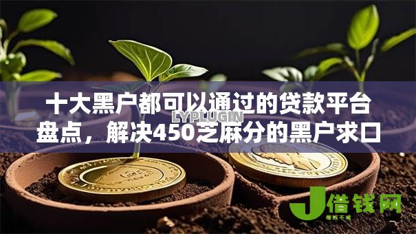 十大黑户都可以通过的贷款平台盘点,解决450芝麻分的黑户求口子的问题 十大黑户都可以通过的贷款平台盘点,解决450芝麻分的黑户求口子的问题