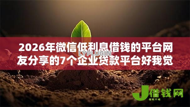 2026年微信低利息借钱的平台网友分享的7个企业贷款平台好我觉得不错! 2026年微信低利息借钱的平台网友分享的7个企业贷款平台好我觉得不错!