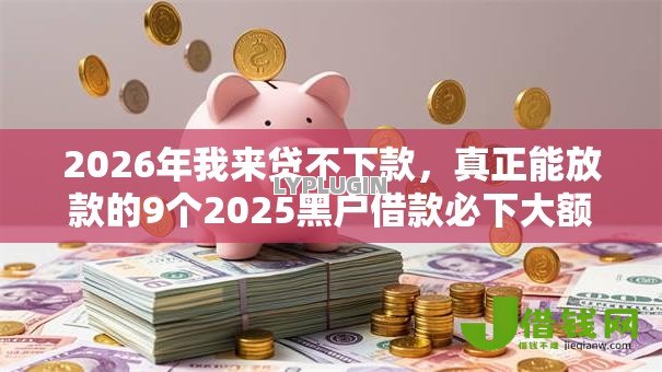 2026年我来贷不下款，真正能放款的9个2025黑户借款必下大额口子推荐