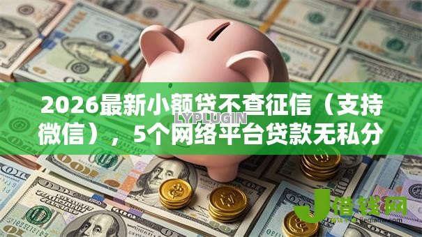 2026最新小额贷不查征信(支持微信),5个网络平台贷款无私分享 2026最新小额贷不查征信(支持微信),5个网络平台贷款无私分享