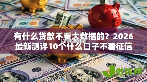 有什么贷款不看大数据的?2026最新测评10个什么口子不看征信必下款 有什么贷款不看大数据的?2026最新测评10个什么口子不看征信必下款