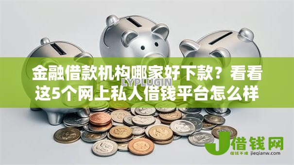 金融借款机构哪家好下款？看看这5个网上私人借钱平台怎么样