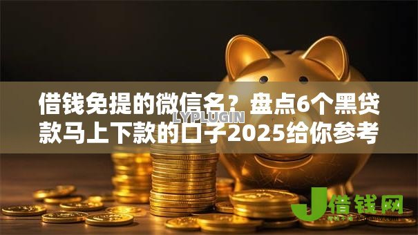 借钱免提的微信名？盘点6个黑贷款马上下款的口子2025给你参考