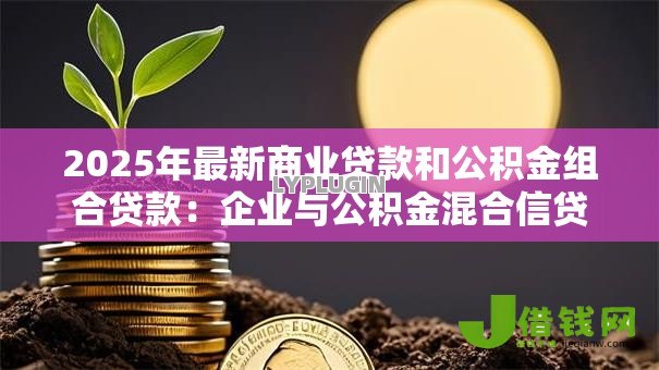 2025年最新商业贷款和公积金组合贷款：企业与公积金混合信贷的条件有哪些