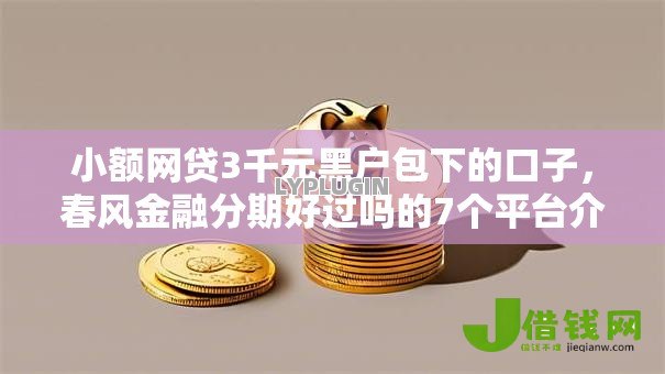 小额网贷3千元黑户包下的口子，春风金融分期好过吗的7个平台介绍