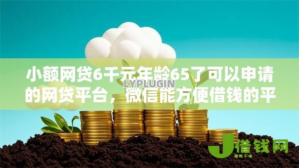 小额网贷6千元年龄65了可以申请的网贷平台,微信能方便借钱的平台的7个平台介绍 小额网贷6千元年龄65了可以申请的网贷平台,微信能方便借钱的平台的7个平台介绍