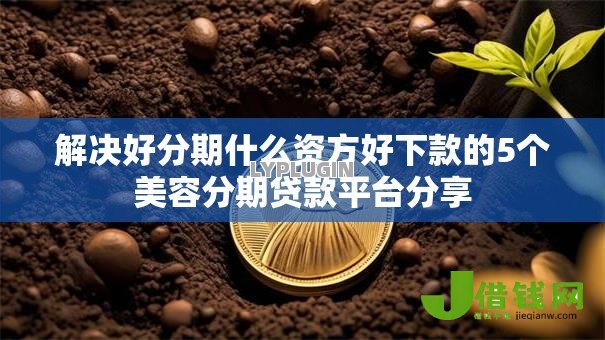 解决好分期什么资方好下款的5个美容分期贷款平台分享 解决好分期什么资方好下款的5个美容分期贷款平台分享