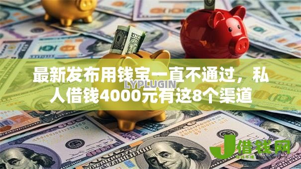 最新发布用钱宝一直不通过，私人借钱4000元有这8个渠道