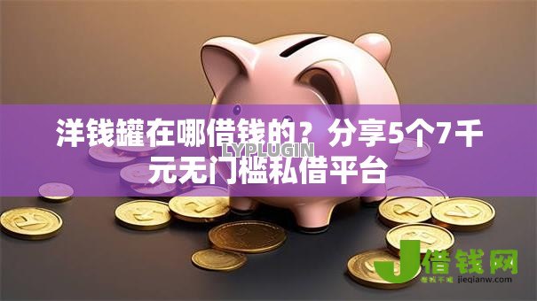 洋钱罐在哪借钱的？分享5个7千元无门槛私借平台