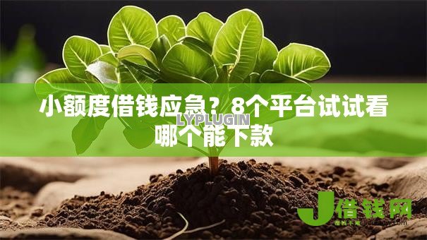 小额度借钱应急?8个平台试试看哪个能下款 小额度借钱应急?8个平台试试看哪个能下款