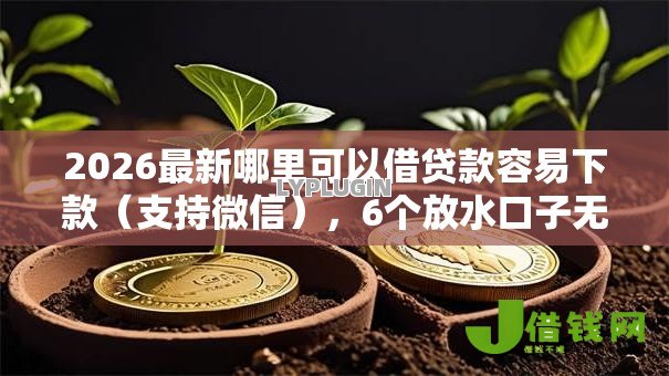 2026最新哪里可以借贷款容易下款（支持微信），6个放水口子无私分享