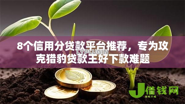 8个信用分贷款平台推荐，专为攻克猎豹贷款王好下款难题