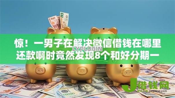 惊！一男子在解决微信借钱在哪里还款啊时竟然发现8个和好分期一样容易过的平台，事后分享了出来