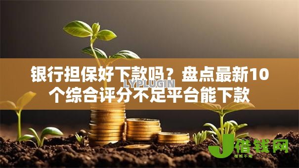 银行担保好下款吗?盘点最新10个综合评分不足平台能下款 银行担保好下款吗?盘点最新10个综合评分不足平台能下款