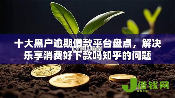 十大黑户逾期借款平台盘点,解决乐享消费好下款吗知乎的问题 十大黑户逾期借款平台盘点,解决乐享消费好下款吗知乎的问题