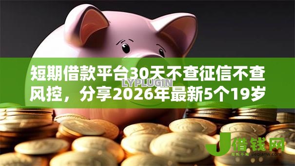 短期借款平台30天不查征信不查风控,分享2026年最新5个19岁可以贷款的平台 短期借款平台30天不查征信不查风控,分享2026年最新5个19岁可以贷款的平台