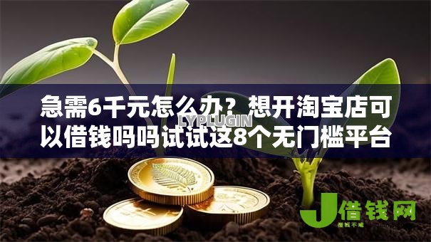急需6千元怎么办?想开淘宝店可以借钱吗吗试试这8个无门槛平台 急需6千元怎么办?想开淘宝店可以借钱吗吗试试这8个无门槛平台