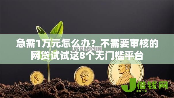 急需1万元怎么办？不需要审核的网贷试试这8个无门槛平台