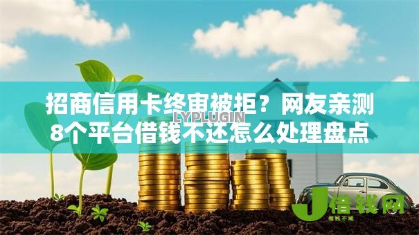 招商信用卡终审被拒？网友亲测8个平台借钱不还怎么处理盘点