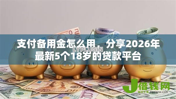 支付备用金怎么用,分享2026年最新5个18岁的贷款平台 支付备用金怎么用,分享2026年最新5个18岁的贷款平台