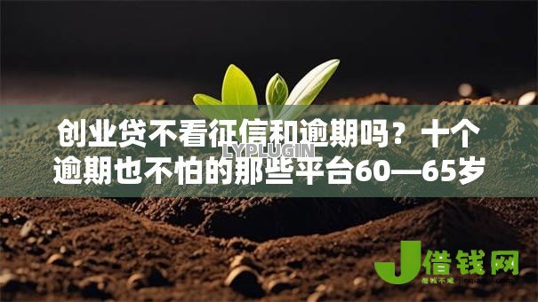 创业贷不看征信和逾期吗?十个逾期也不怕的那些平台60—65岁可以借钱 创业贷不看征信和逾期吗?十个逾期也不怕的那些平台60—65岁可以借钱