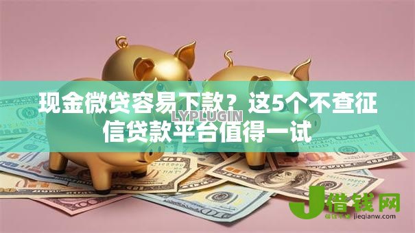 现金微贷容易下款?这5个不查征信贷款平台值得一试 现金微贷容易下款?这5个不查征信贷款平台值得一试