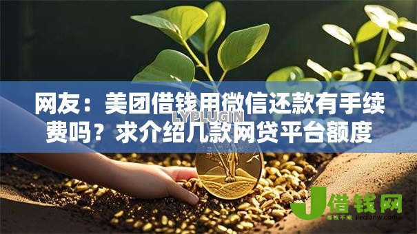 网友：美团借钱用微信还款有手续费吗？求介绍几款网贷平台额度高
