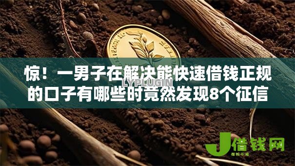 惊!一男子在解决能快速借钱正规的口子有哪些时竟然发现8个征信查询多能下款的平台,事后分享了出来 惊!一男子在解决能快速借钱正规的口子有哪些时竟然发现8个征信查询多能下款的平台,事后分享了出来