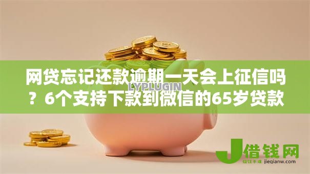 网贷忘记还款逾期一天会上征信吗?6个支持下款到微信的65岁贷款平台 网贷忘记还款逾期一天会上征信吗?6个支持下款到微信的65岁贷款平台