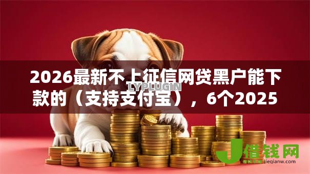 2026最新不上征信网贷黑户能下款的（支持支付宝），6个2025年12月借钱口子无私分享