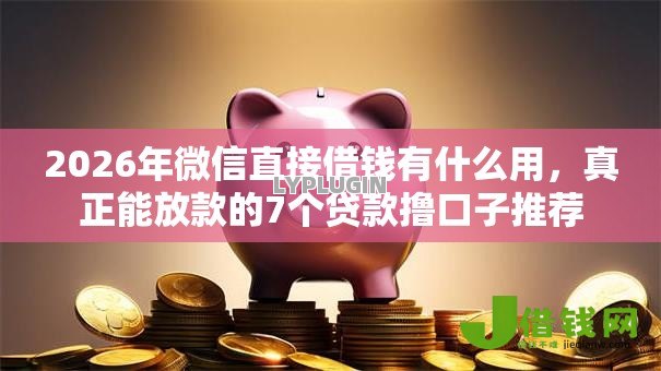 2026年微信直接借钱有什么用,真正能放款的7个贷款撸口子推荐 2026年微信直接借钱有什么用,真正能放款的7个贷款撸口子推荐
