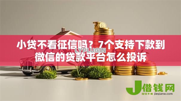 小贷不看征信吗?7个支持下款到微信的贷款平台怎么投诉 小贷不看征信吗?7个支持下款到微信的贷款平台怎么投诉