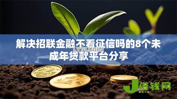 解决招联金融不看征信吗的8个未成年贷款平台分享 解决招联金融不看征信吗的8个未成年贷款平台分享