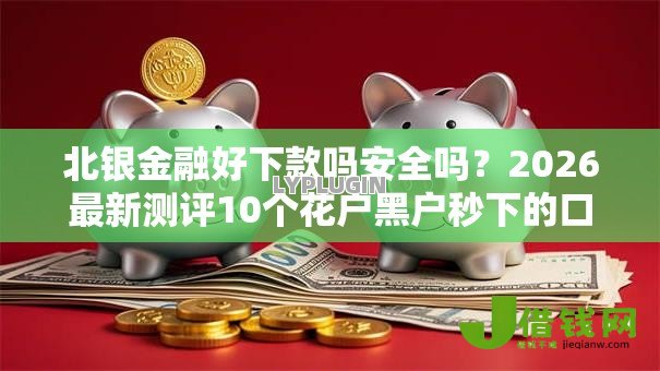 北银金融好下款吗安全吗？2026最新测评10个花户黑户秒下的口子