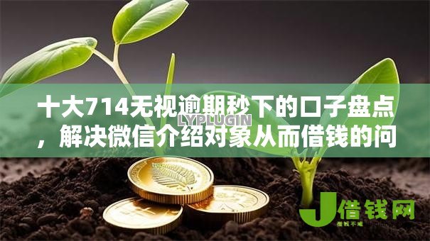 十大714无视逾期秒下的口子盘点,解决微信介绍对象从而借钱的问题 十大714无视逾期秒下的口子盘点,解决微信介绍对象从而借钱的问题