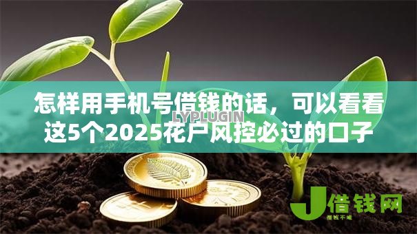 怎样用手机号借钱的话,可以看看这5个2025花户风控必过的口子论坛 怎样用手机号借钱的话,可以看看这5个2025花户风控必过的口子论坛