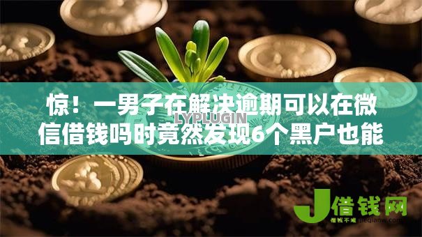 惊！一男子在解决逾期可以在微信借钱吗时竟然发现6个黑户也能借钱的平台，事后分享了出来