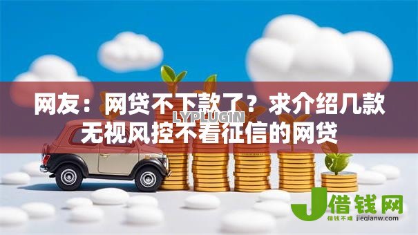 网友:网贷不下款了?求介绍几款无视风控不看征信的网贷 网友:网贷不下款了?求介绍几款无视风控不看征信的网贷