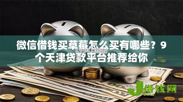 微信借钱买草莓怎么买有哪些?9个天津贷款平台推荐给你 微信借钱买草莓怎么买有哪些?9个天津贷款平台推荐给你