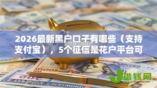 2026最新黑户口子有哪些（支持支付宝），5个征信是花户平台可以借钱不无私分享