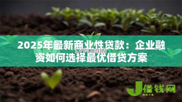 2025年最新商业性贷款:企业融资如何选择最优借贷方案 2025年最新商业性贷款:企业融资如何选择最优借贷方案