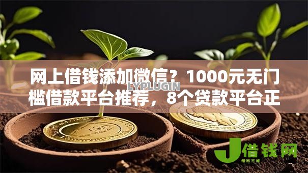网上借钱添加微信？1000元无门槛借款平台推荐，8个贷款平台正规盘点